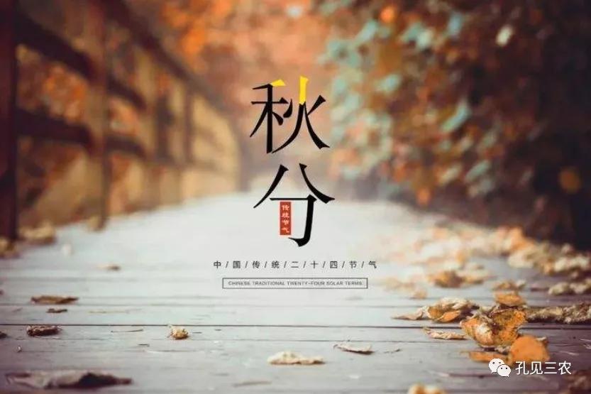 今天是秋分上午好问候图片,今天是秋分节的感悟