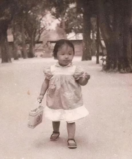 许志安和韩红接吻图片,韩红喜欢过栾树