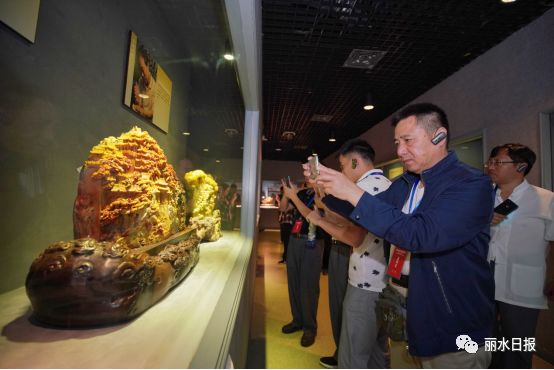 红色新丽水,红色浙西南央视