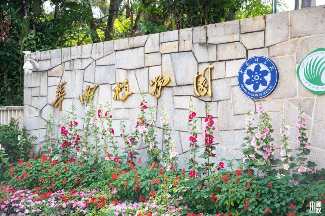 300+万㎡原始森林秘境，天河就有