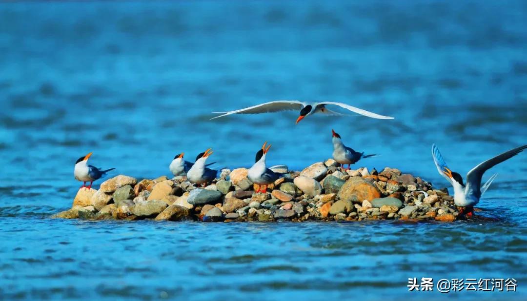 中国云南哪里好看,云南的云彩为什么好看