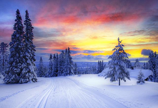 期货交易看趋势秘诀,期货最简单的看盘方法