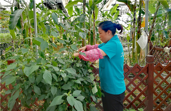 走向我们的小康生活这条路,走向我们的小康生活完整视频