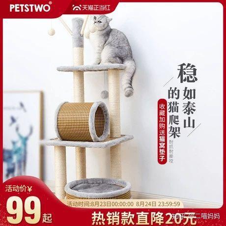 铲屎官的日常操作方法,新手铲屎官如何与猫咪愉快的交流