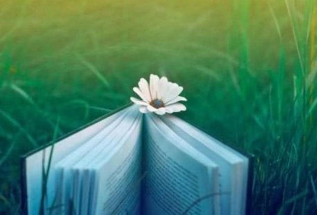 五年级上册语文园地重点知识整顿,五年级语文上册知识点笔记可打印