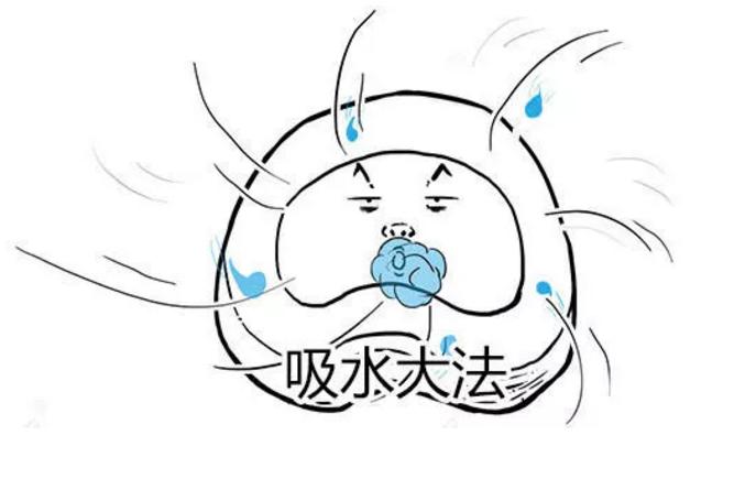 此文章让你彻底明白什么是：腰间盘突出