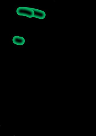 ae海报图片设计教程,海报动图怎么制作ae