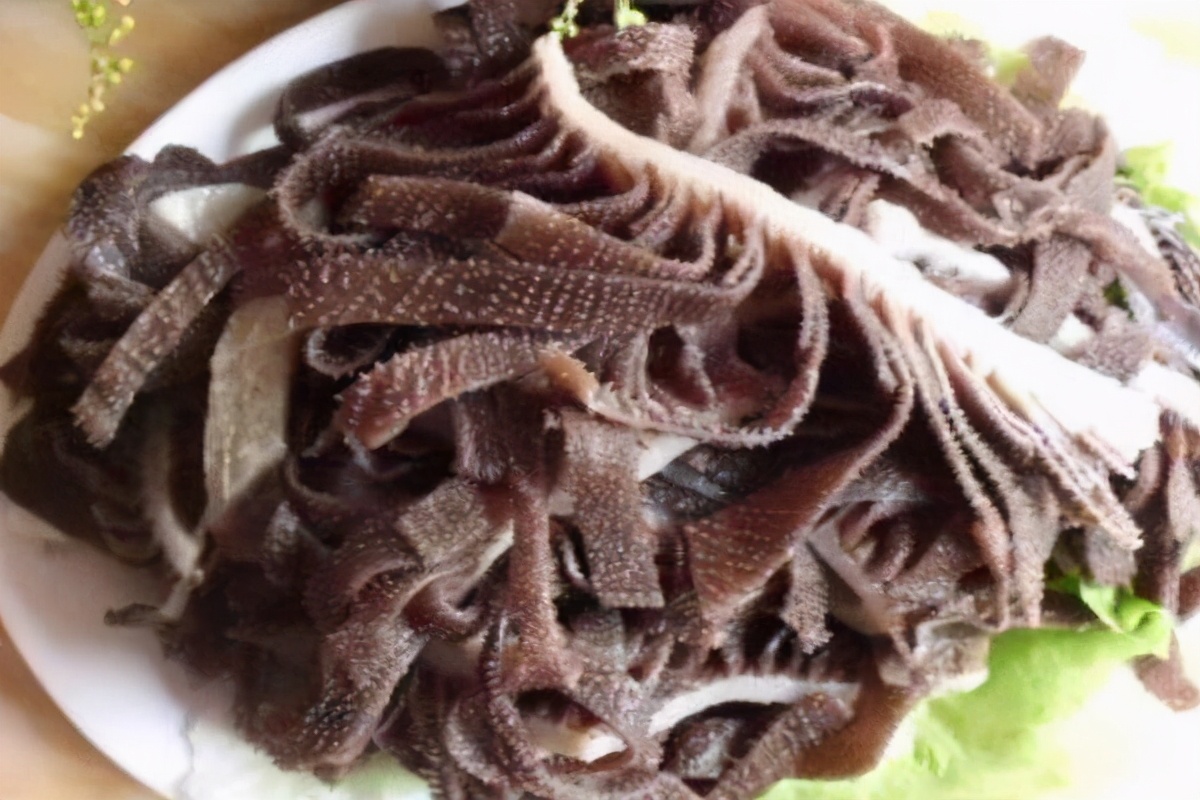 牛哪一个胃才是真正的胃,为什么牛有四个胃