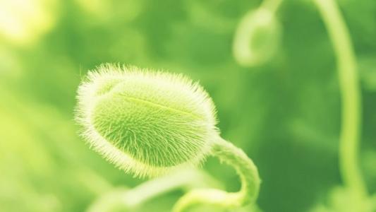 淘宝美工零基础入门完全自学教程,淘宝美工自学入门基础