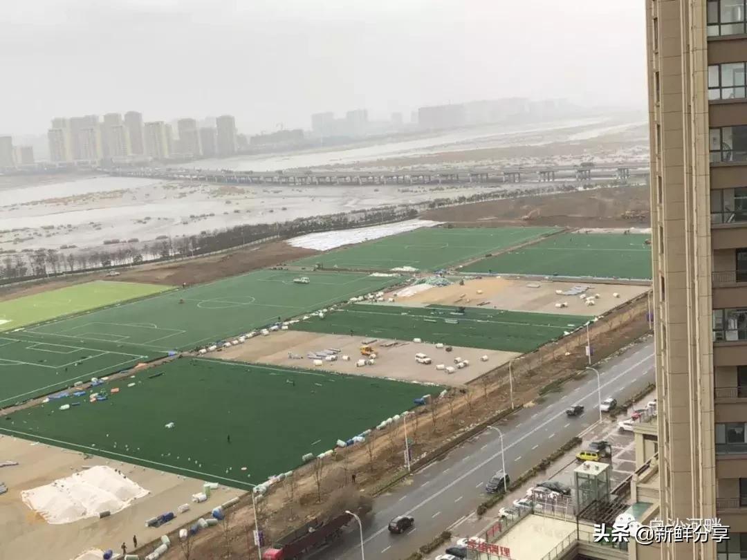 哥德杯世界青少年足球赛,国际青少年足球大赛在哪里举办