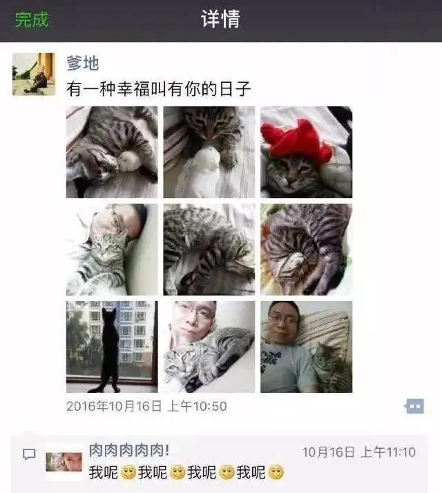 养猫后儿子鼻过敏，妈妈心生一计：不如你搬出去住吧！