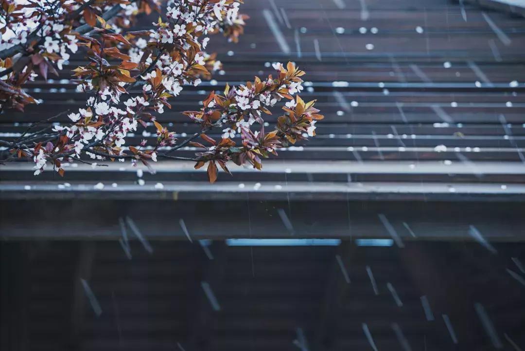 从2000年到2023年的歌最火的,1999年到现在经典歌曲