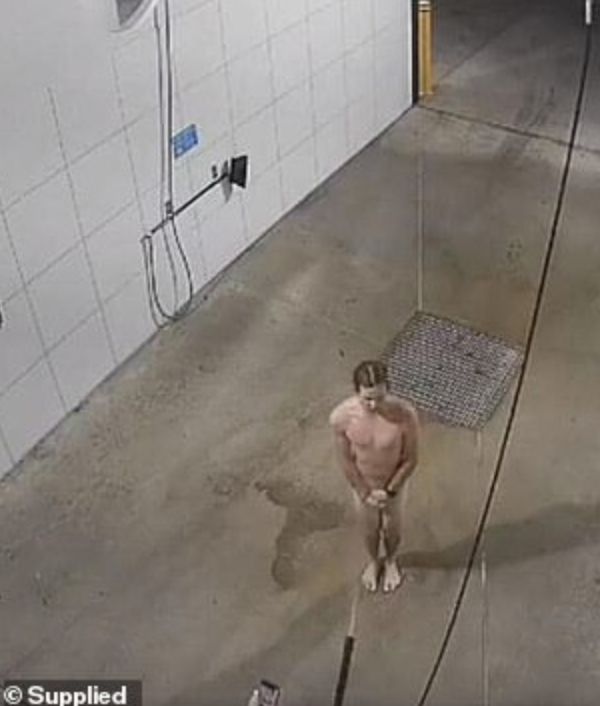 澳男子半夜全裸溜进洗车房洗自己？老板傻了：那玩意洗人会出事啊