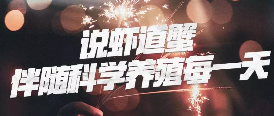 小龙虾养殖技术一亩投资多少钱,200亩小龙虾养殖