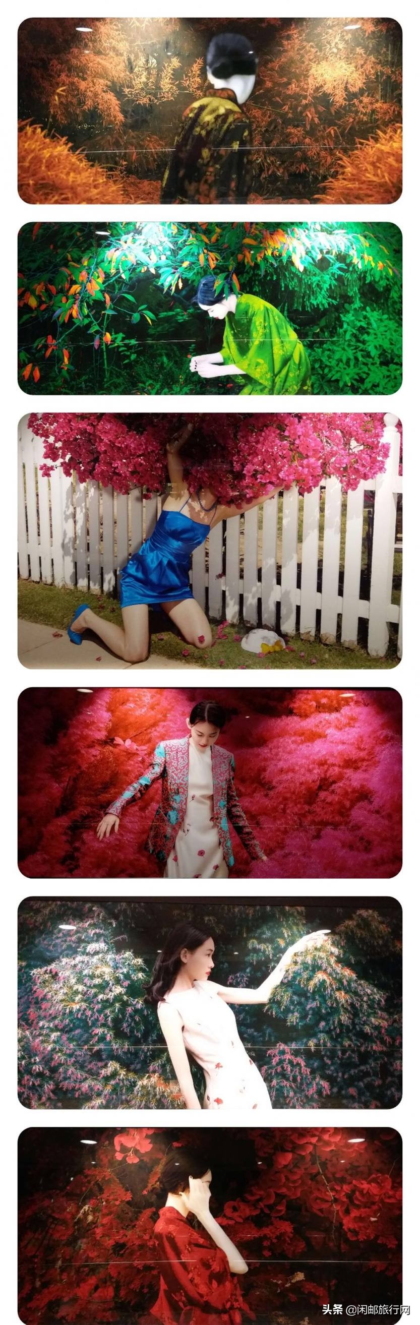 上海日本海洋光谱号邮轮游,海洋光谱号长崎一日游