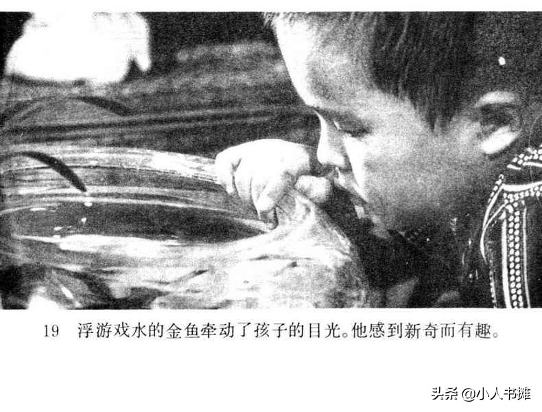 野天冬草-中国广播电视出版社1985怀旧影视连环画