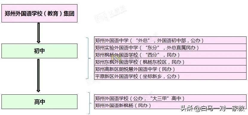 3年后要进外高，枫杨、外总、东分，这三所初中怎么选？闭眼选