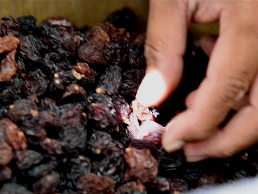 想吃葡萄一不留心掉海底了