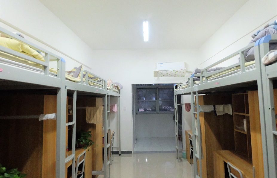 2021年小升初郑州公办初中,19年郑州小升初民办学校招收比例