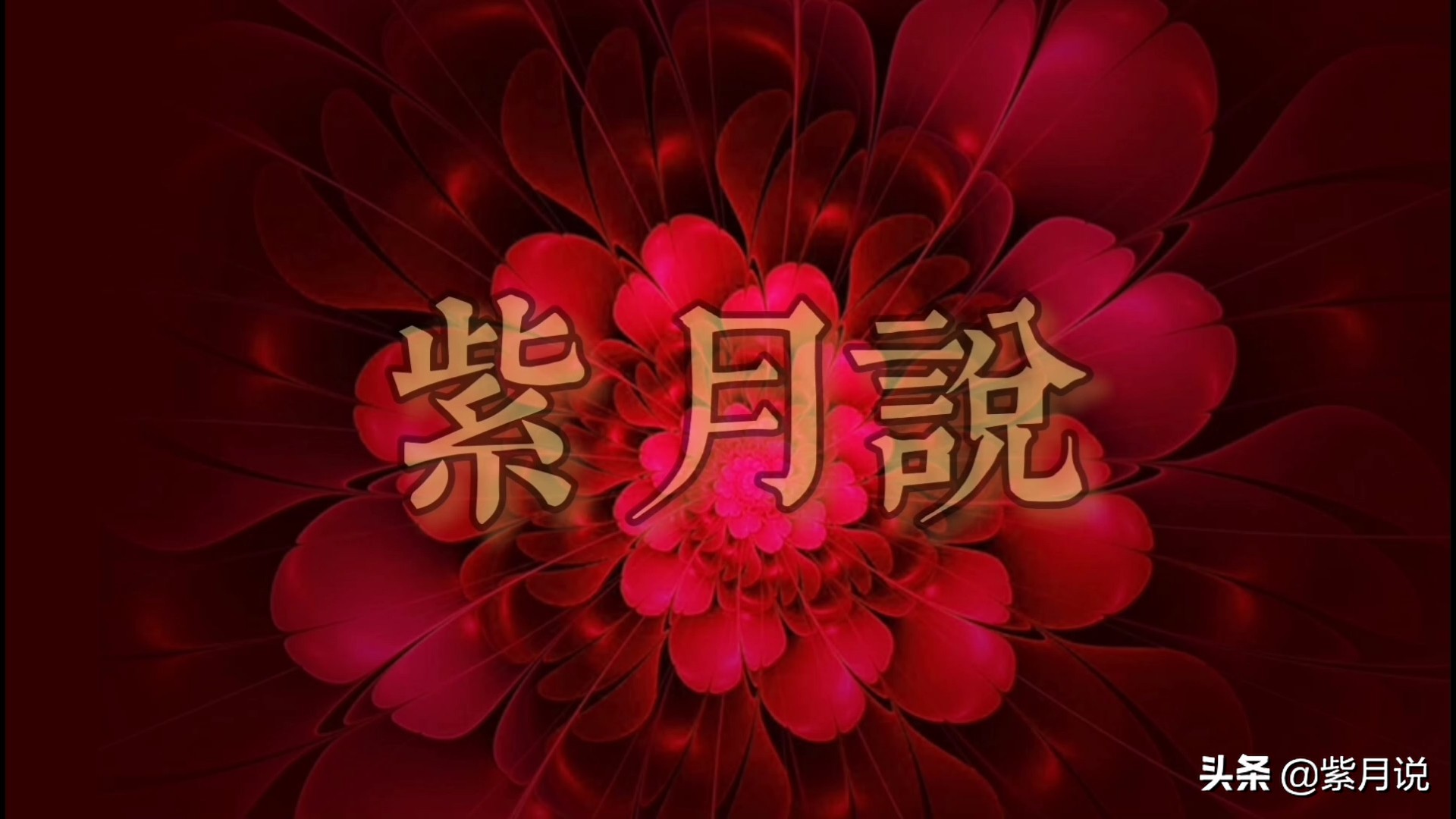 紫月法语全集朗读,紫月中英文朗读