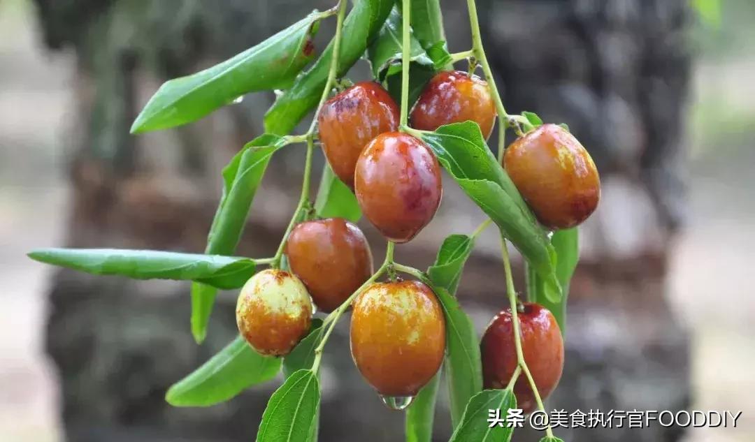 河北正宗的十大美食有哪些呢,河北有什么特点好吃的美食