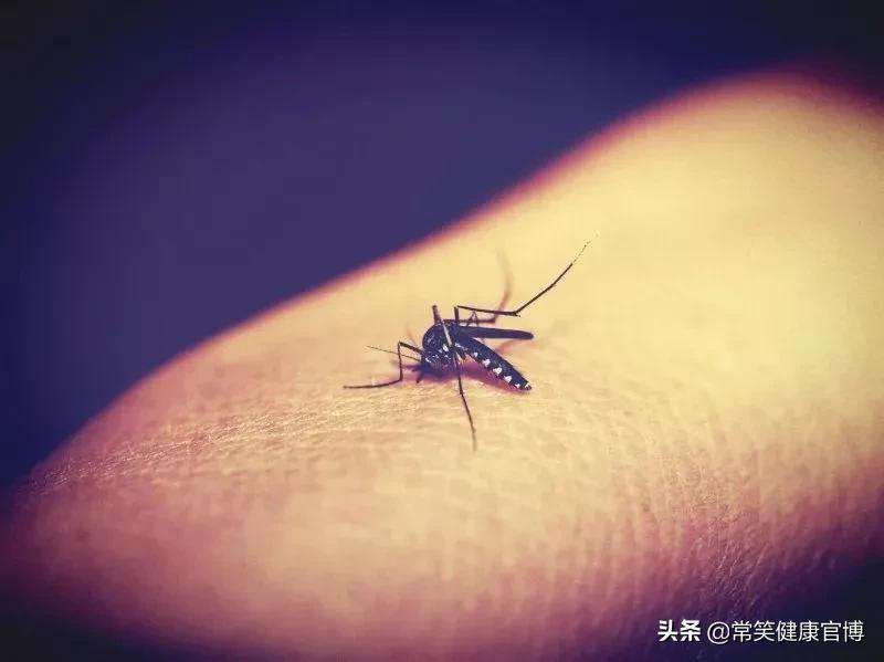 防晒防蚊小技巧,涂防晒可以防蚊子吗