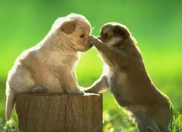 朋友的不同层次的表达,朋友的另外表达方式