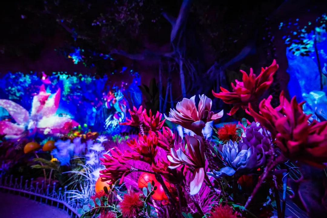 淄博国庆节节放假安排,淄博十一月份有什么活动