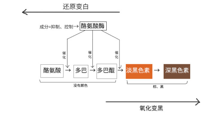 夏天晒黑怎么恢复美白,夏天晒黑了怎么快速变白