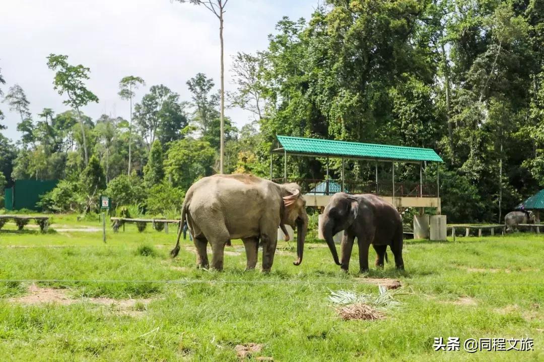 马来西亚宁静的小镇,马来西亚的花样小城