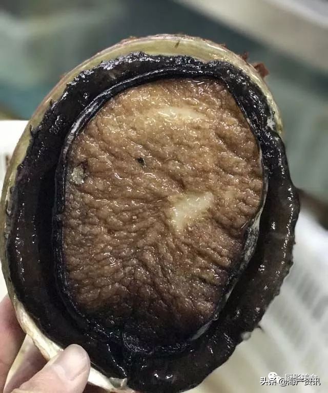 世界十大顶级海鲜品种,全球顶级海鲜食材大赏