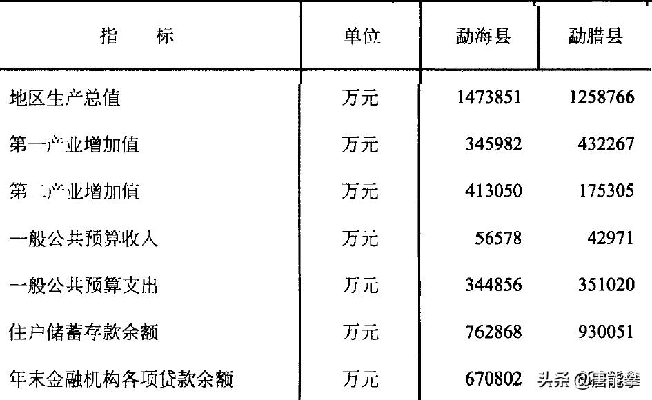 西双版纳勐海县、勐腊县：大象北上起点，云南社会经济研究系列10