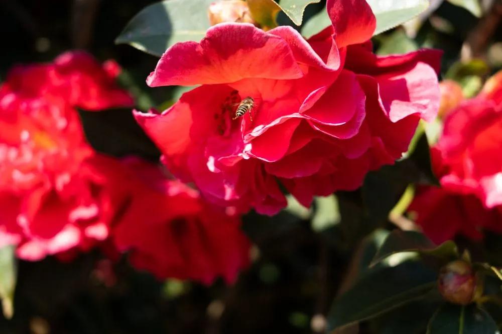 瞧！这花花世界谁不爱