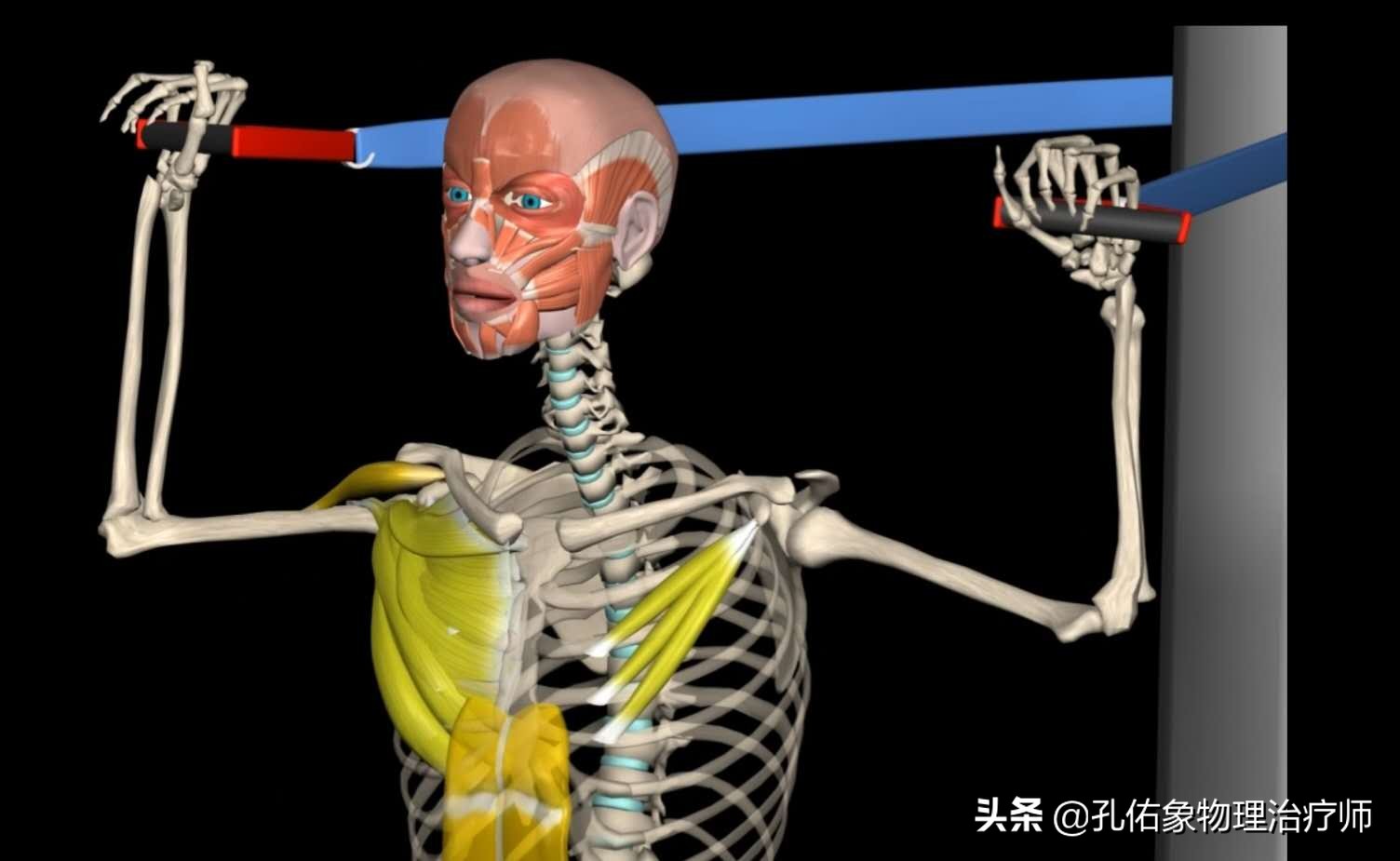 颈椎病引起的手麻颈肩痛怎么治疗,颈肩痛除了颈椎病还有哪些病