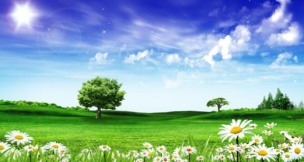 海竿钓鱼有几种方法,钓鱼的最佳方法和步骤