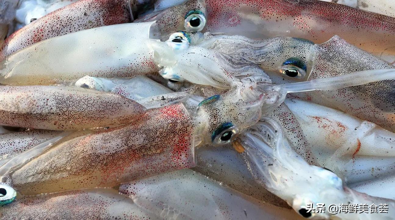 最好吃的海鲜城市排名,沿海城市海鲜又便宜又好吃