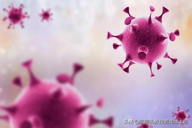 西班牙科学家解读新冠,西班牙最新研究新冠源头