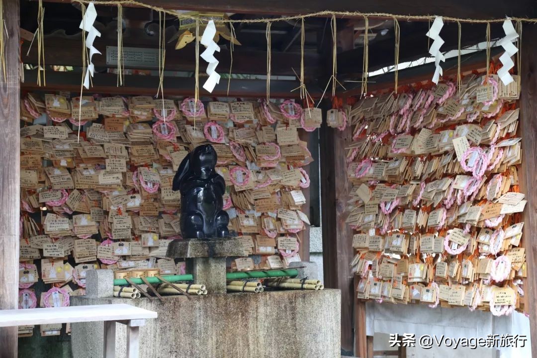 如果一生只能去一次北海道,如果一生只能去一次甘南