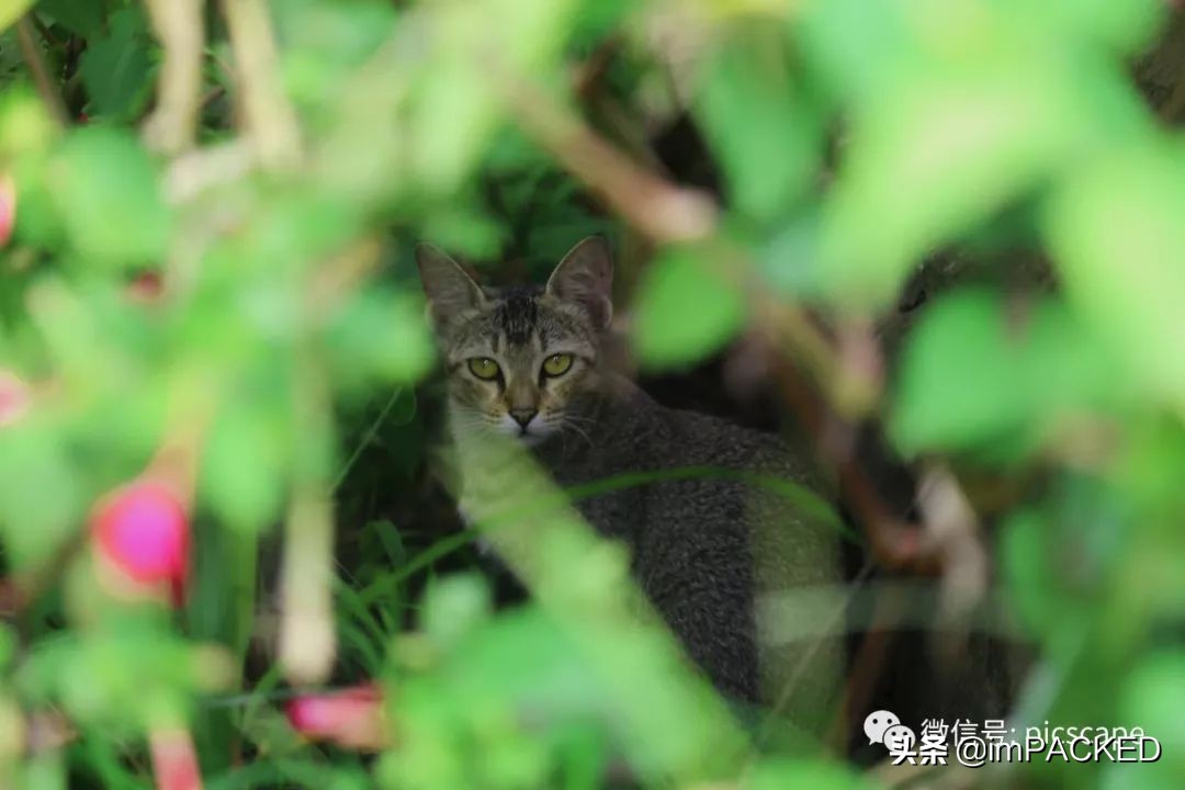 孟加拉国贫困与饥饿如何解决,孟加拉国艰巨的生存之路