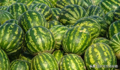 西瓜甜不甜啃一口就知道了,冷知识科普西瓜甜不甜看哪里