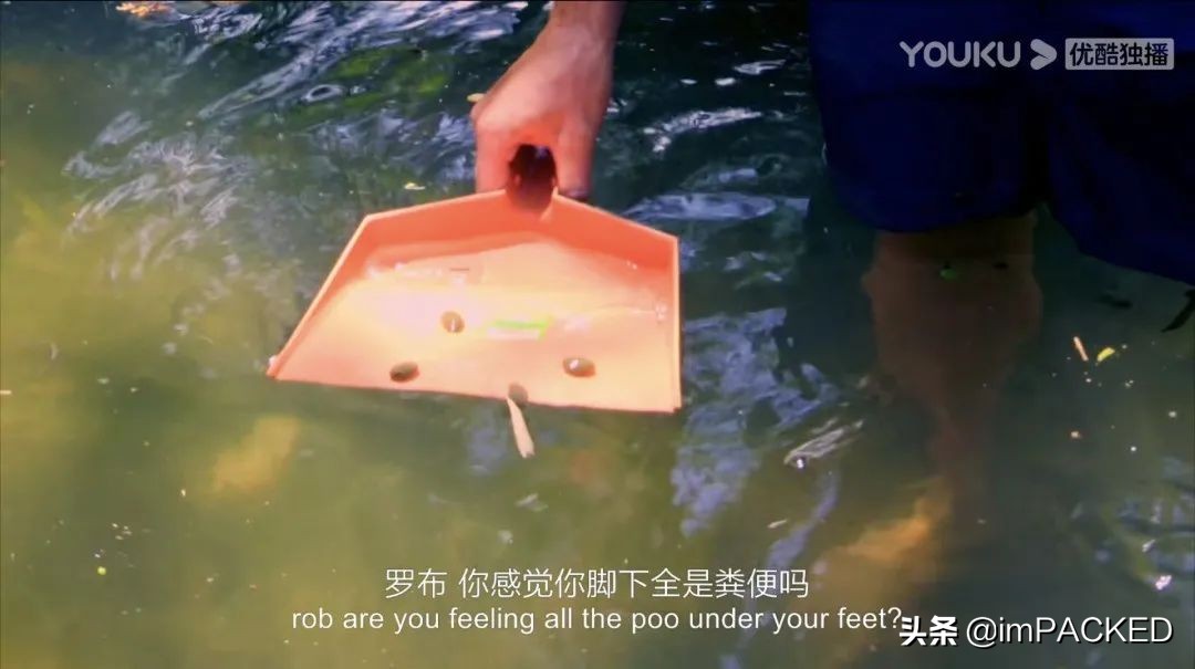 robgreenfield多少钱,robingreenfield