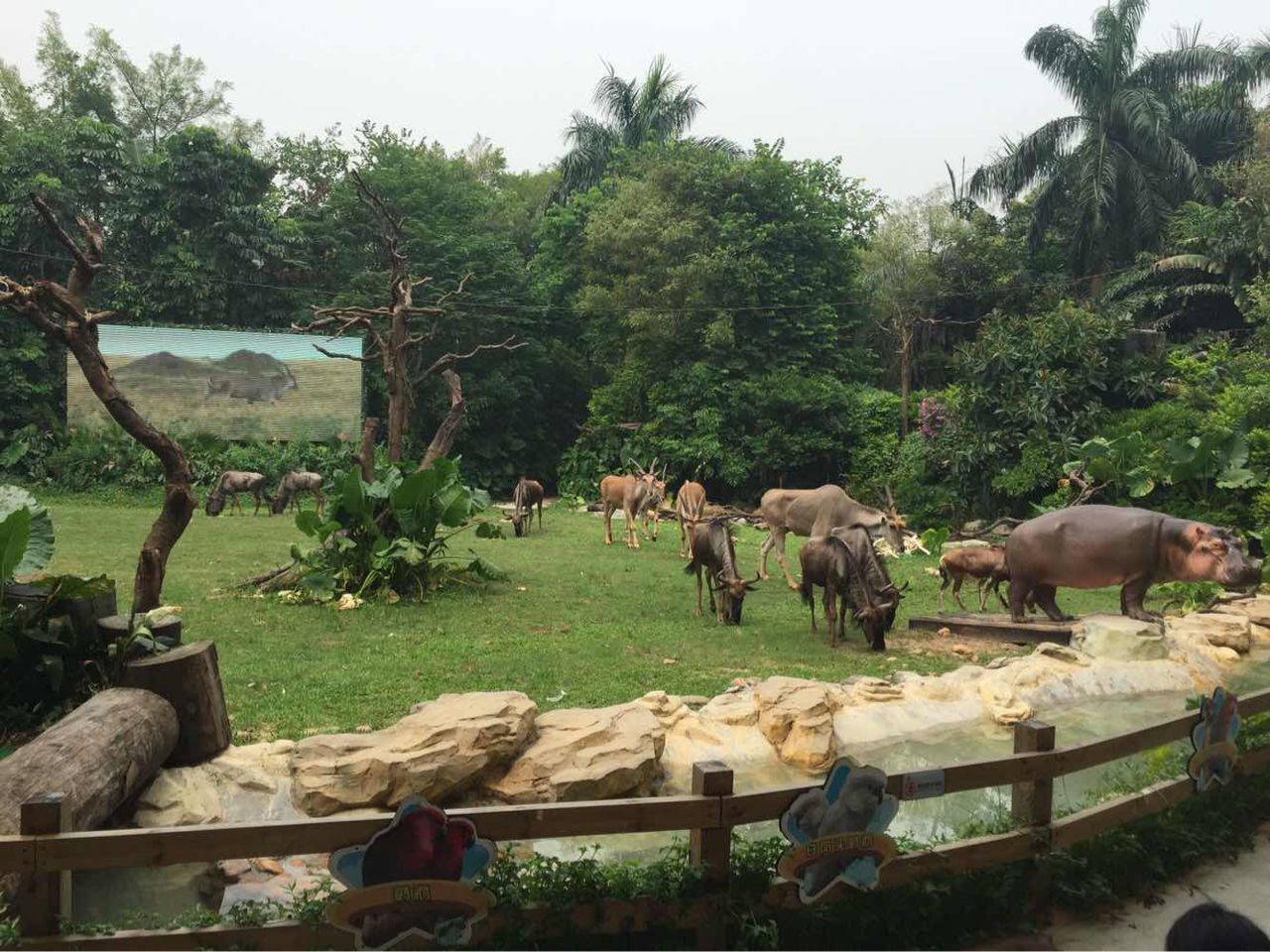 国内首屈一指的主题乐园，广州长隆旅游度假区，回归大自然的地方