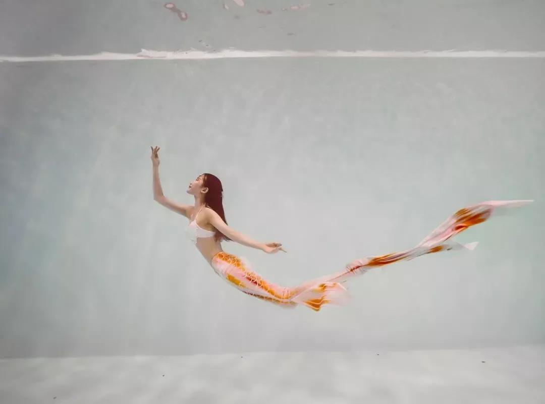 只要你愿意，就能圆你一个人鱼公主梦|美人鱼系列课程