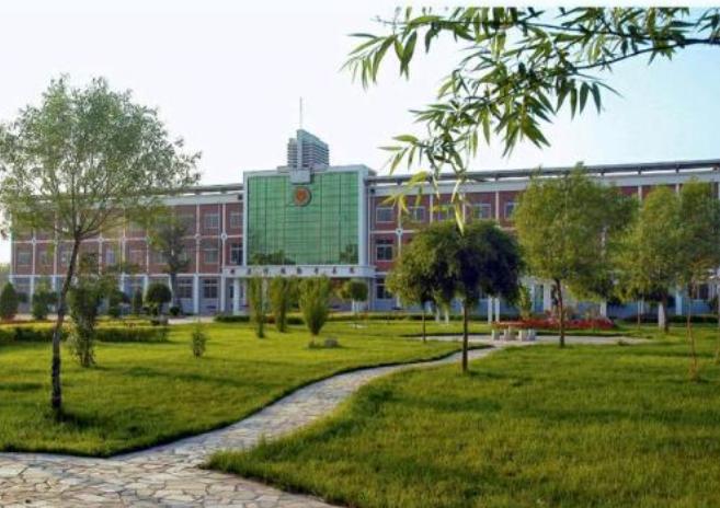 河北有个村很厉害,河北经济最强的100乡镇排名