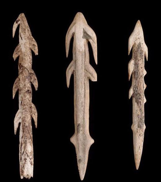 商王弓箭射大鳖，西周有个射鱼国，商周名流必备的鱼鳔箭头了解下