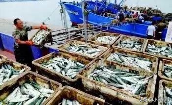 海鲜干货推荐烟台店有哪些,烟台海鲜干货怎么挑