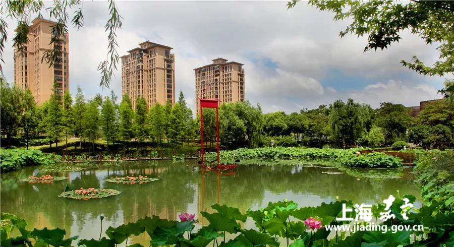 嘉定菊园汇总表,嘉定菊园新区规划