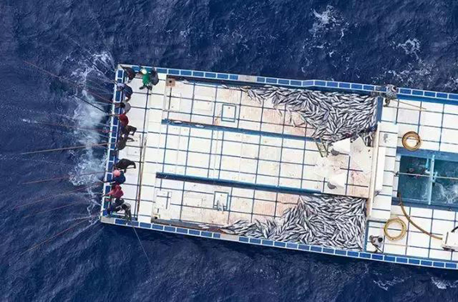 钓鱼的方法可以一秒钓到鱼,钓鱼变成荒野求生