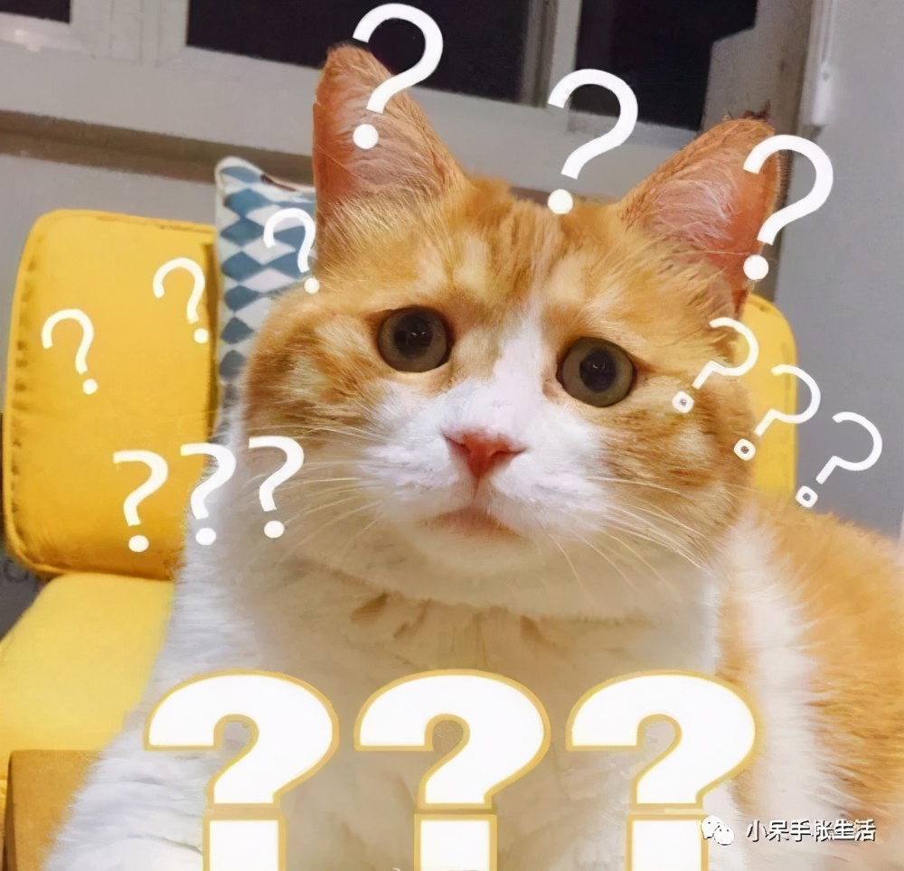 手帐必读的4本书,入手帐坑新手小白应该准备什么