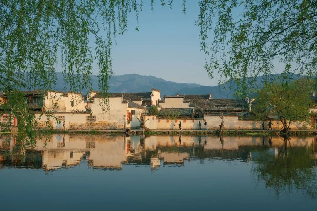 婺源油菜花一日游旅游攻略,婺源油菜花旅游攻略